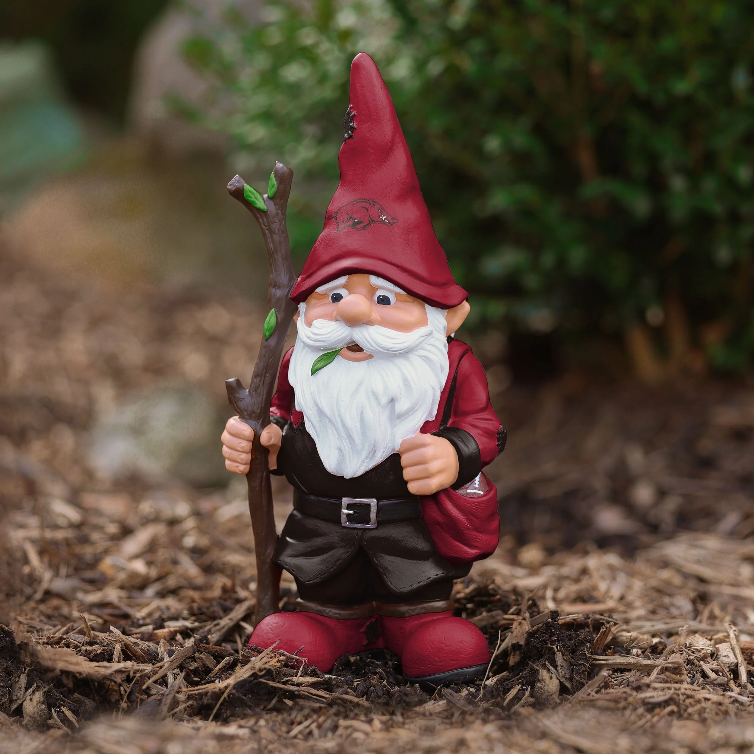 Arkansas Razorbacks Holding Stick Gnome - Image 5