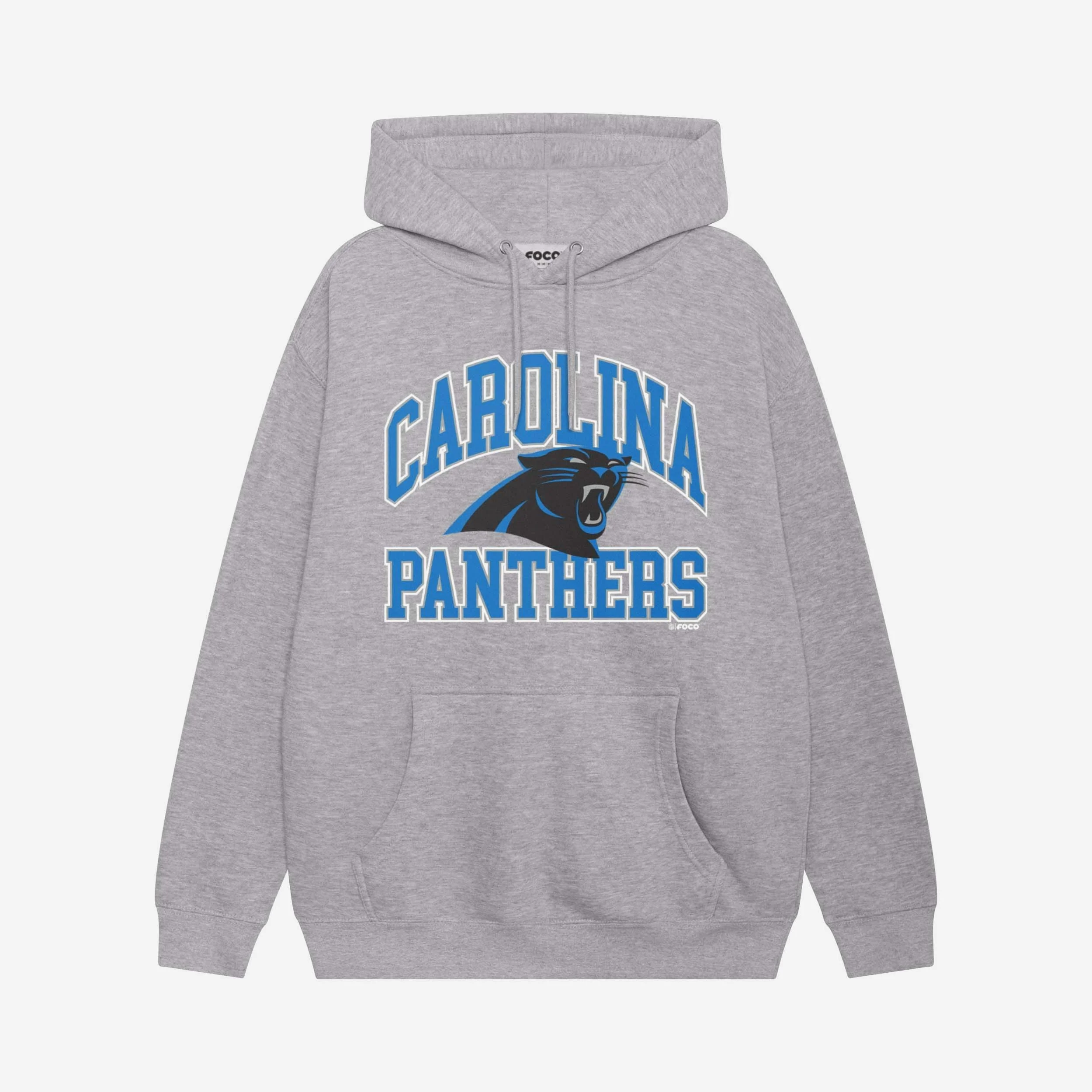 Carolina Panthers Arched Wordmark Hoodie - Image 3
