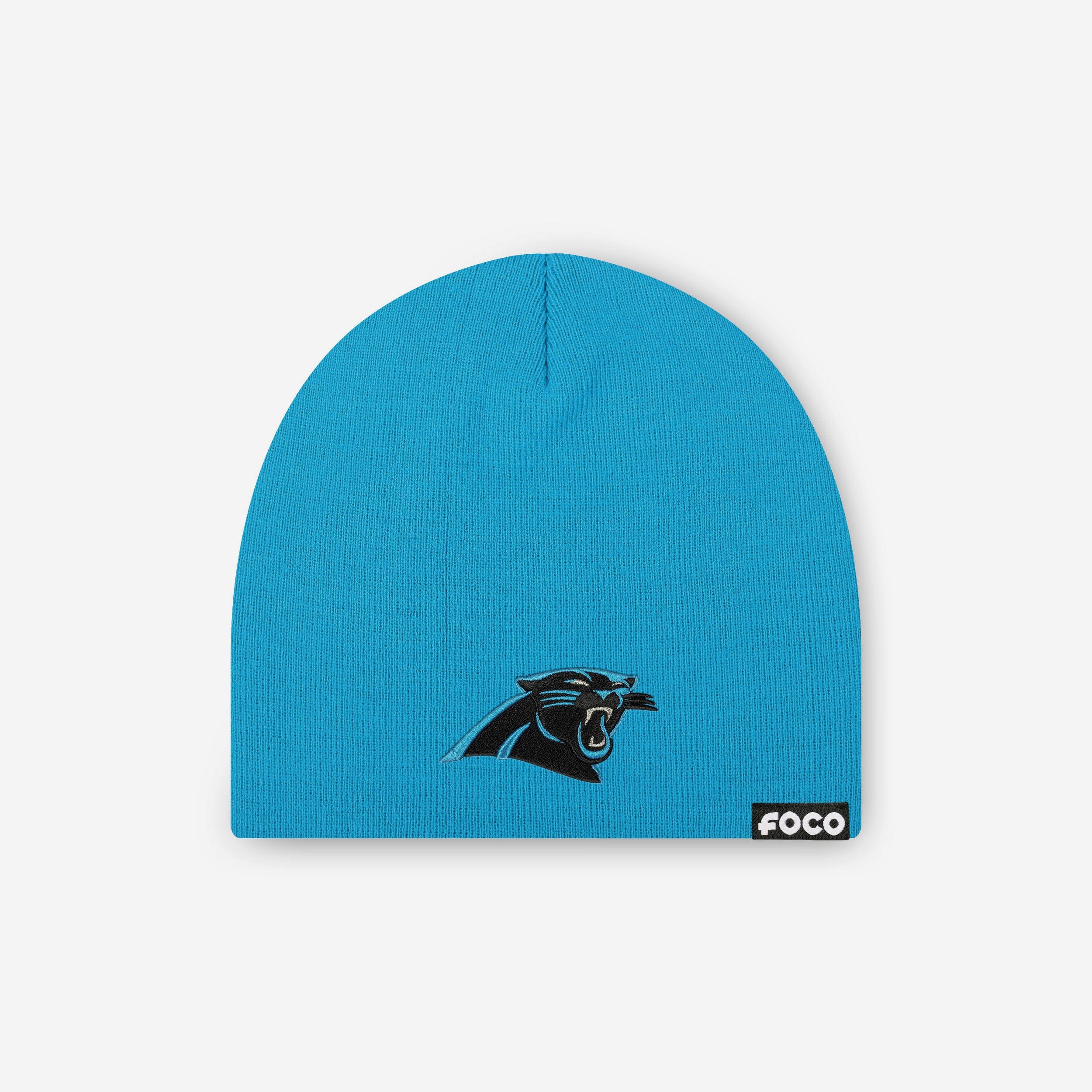 Carolina Panthers Basic Primary Logo Skull Beanie