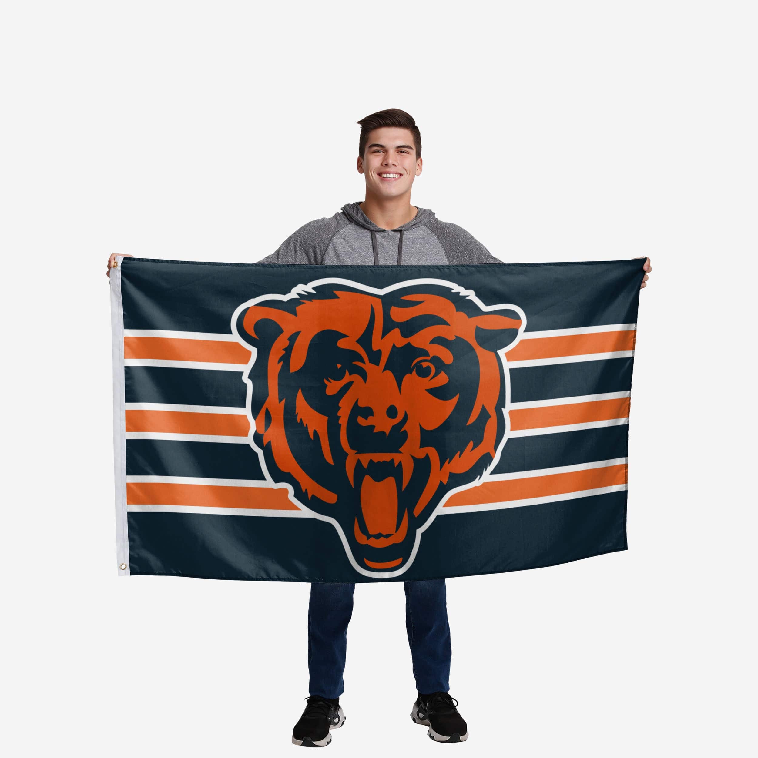 Chicago Bears Big Logo Team Stripe Horizontal Flag - Image 2