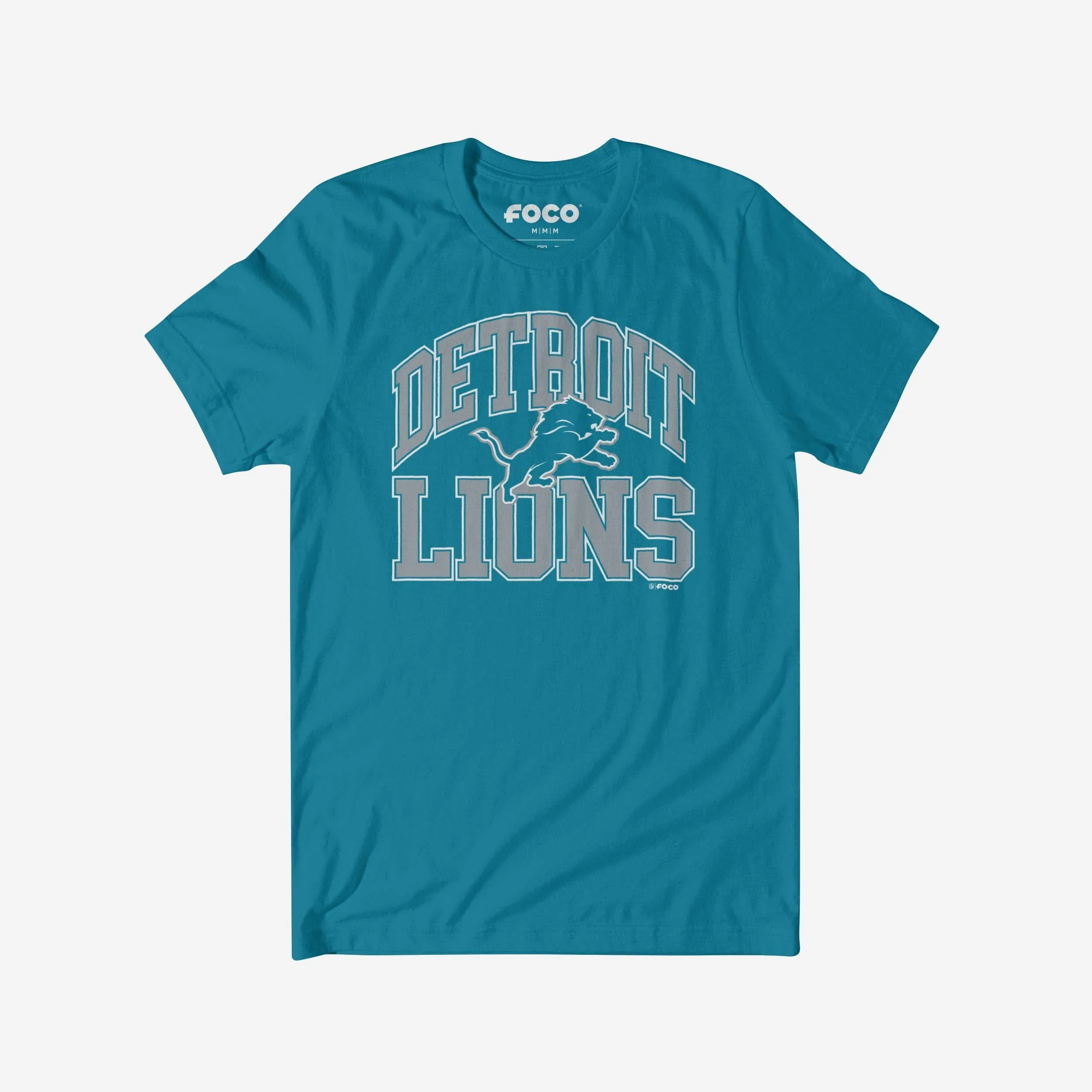 Detroit Lions Arched Wordmark T-Shirt