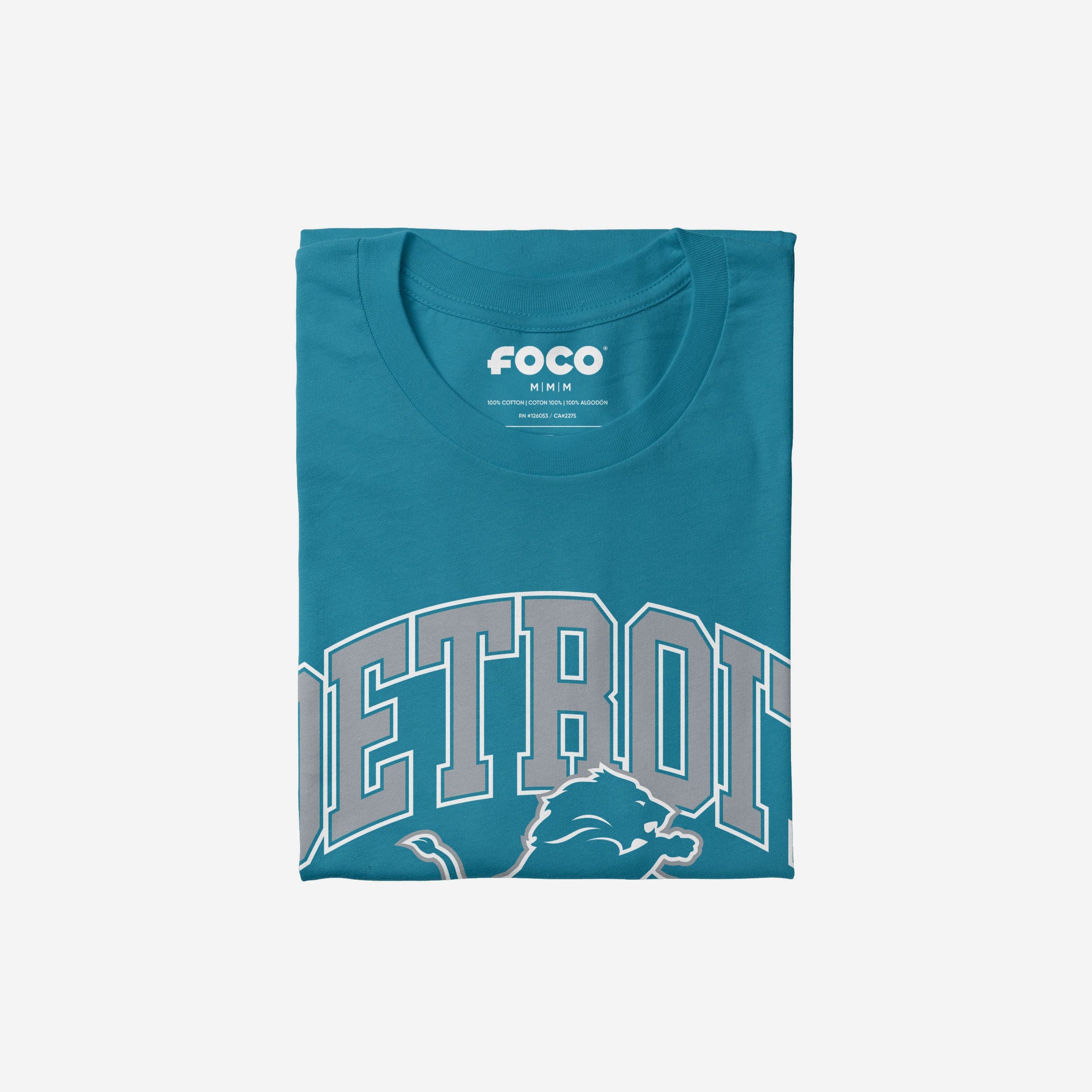 Detroit Lions Arched Wordmark T-Shirt - Image 4