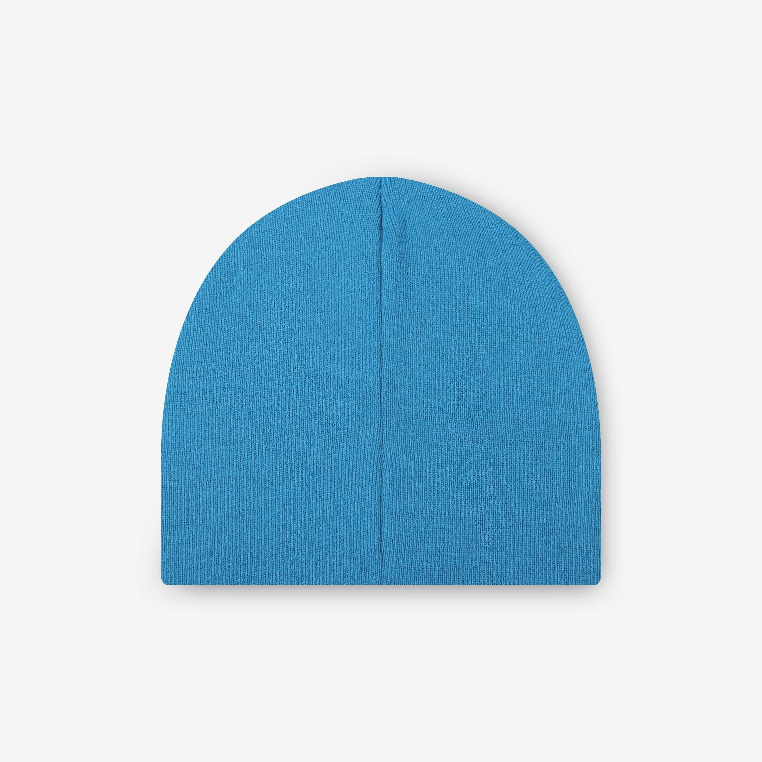 Detroit Lions Basic Primary Logo Skull Beanie - Image 2