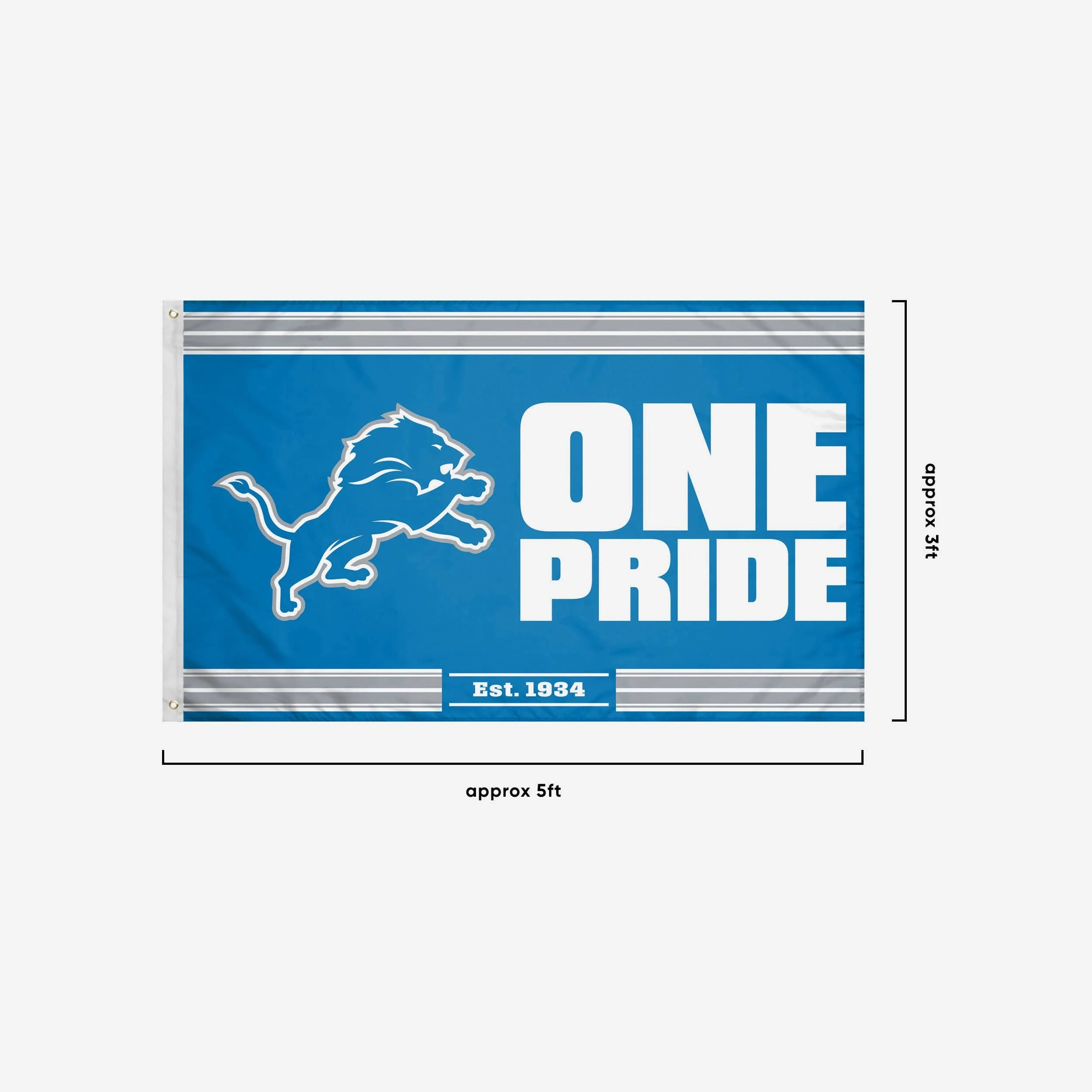 Detroit Lions Horizontal Slogan Flag - Image 3