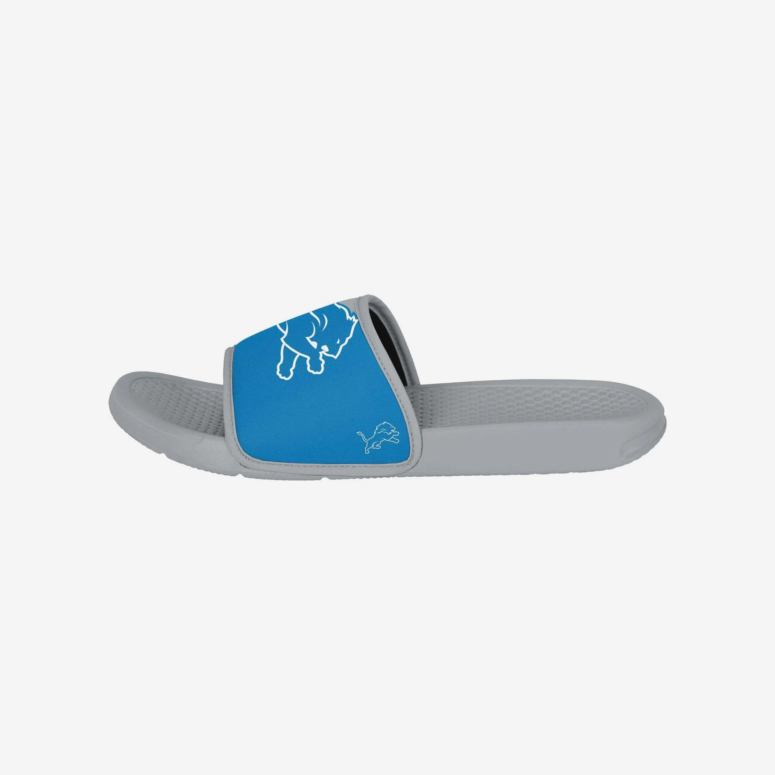 Detroit Lions Team Color Primary Logo Slide - Image 4
