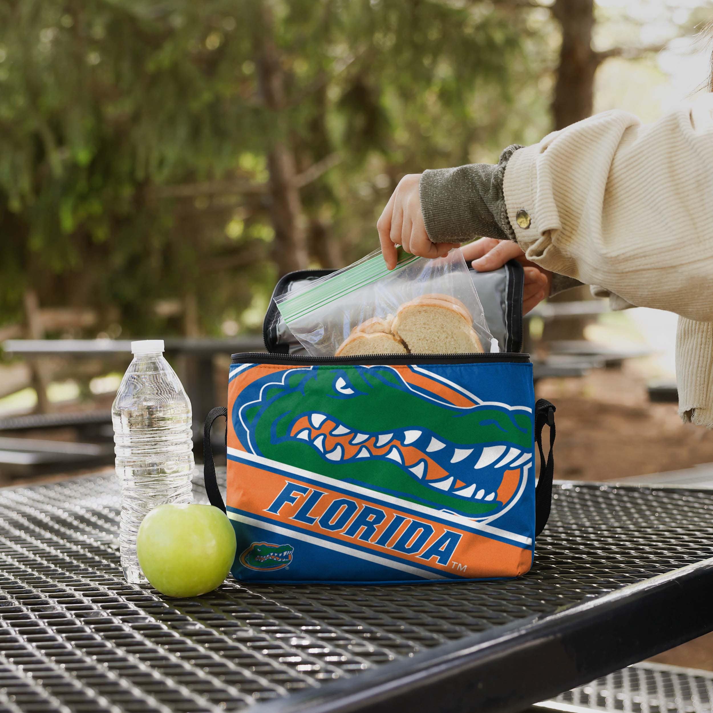 Florida Gators Big Logo Stripe 6 Pack Cooler - Image 3
