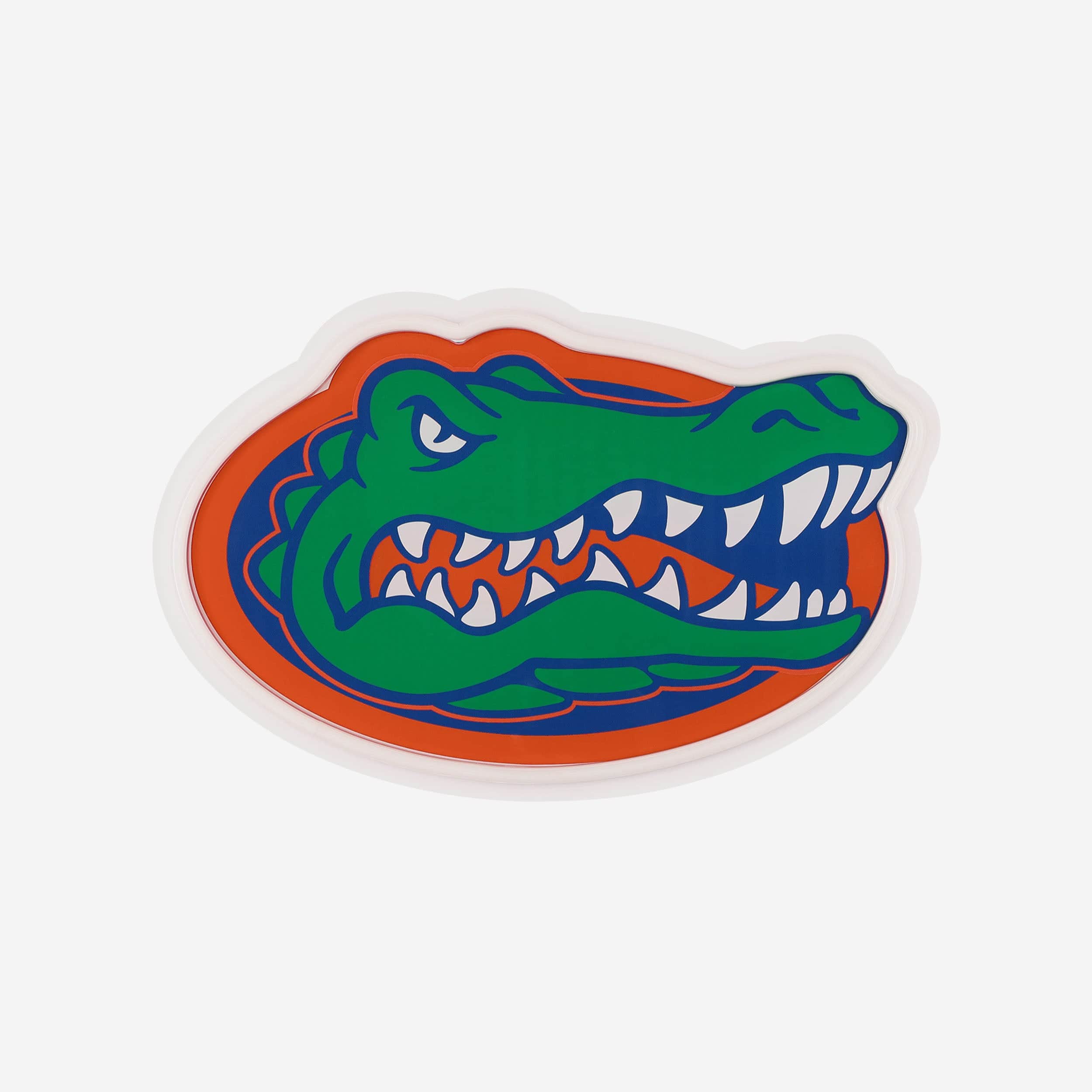 Florida Gators LED Neon Light Up Team Logo Sign