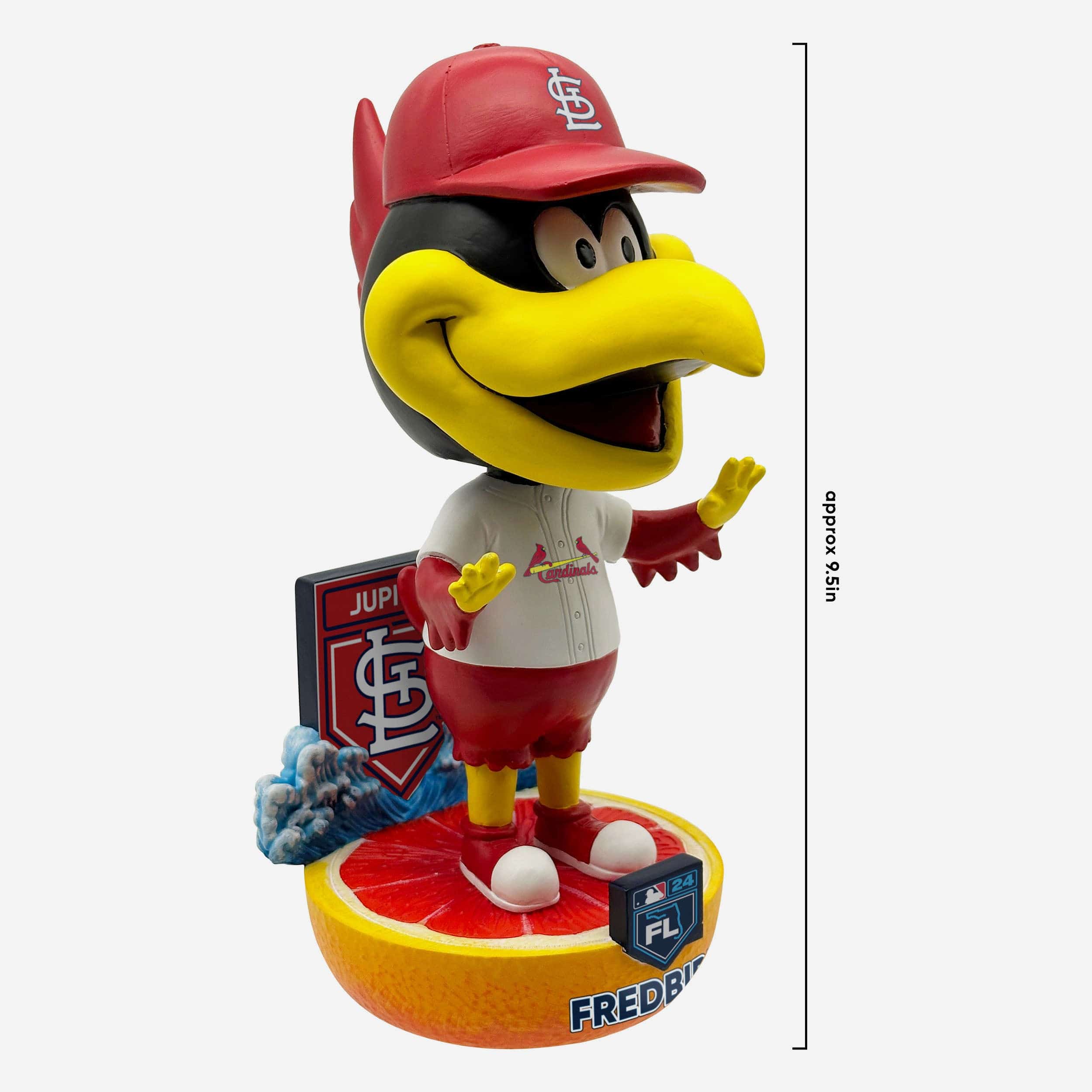 Fredbird St Louis Cardinals 2024 Spring Training Grapefruit League Mascot Bighead Bobblehead - Image 4