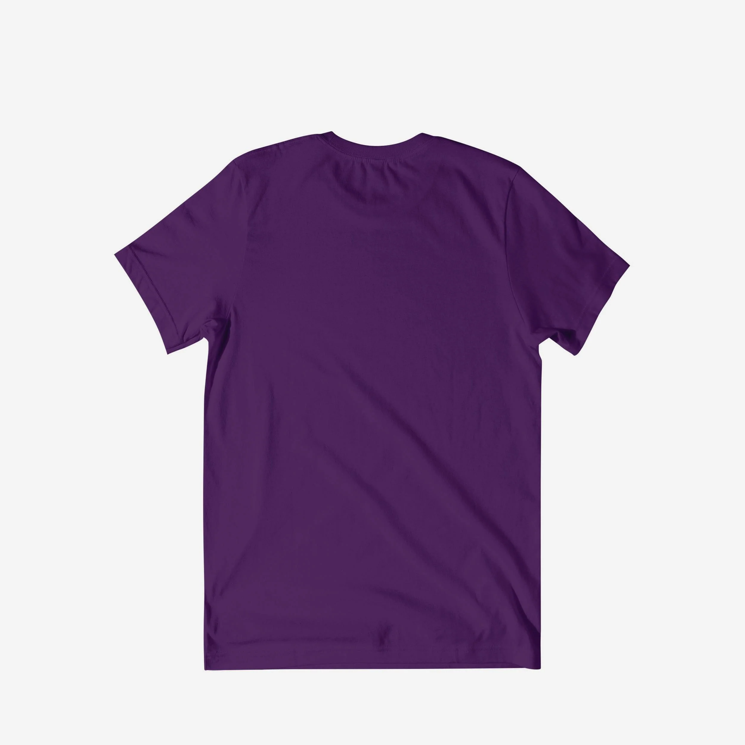 Furman Paladins Classic Logo T-Shirt - Image 2