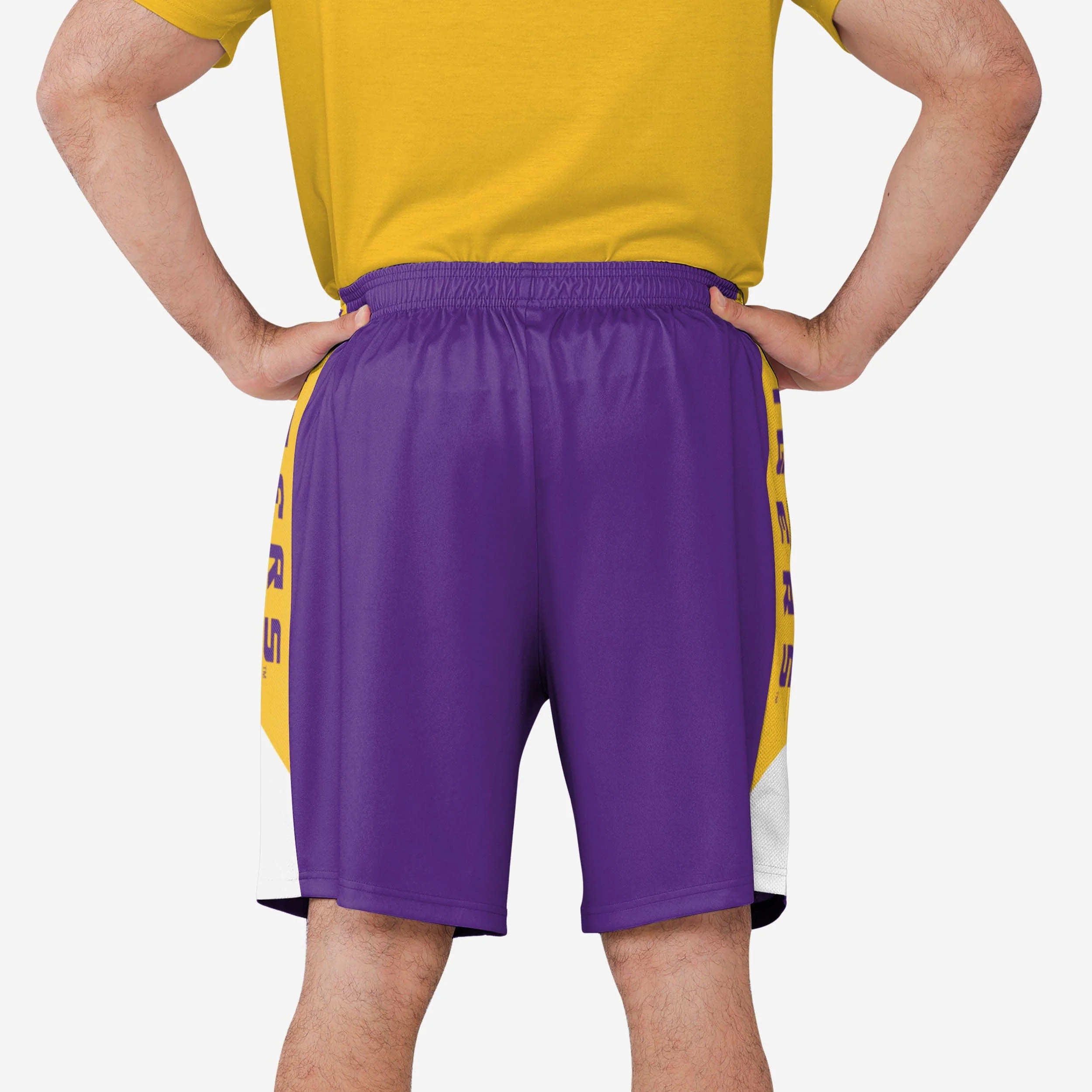 LSU Tigers Side Stripe Training Shorts - Image 2