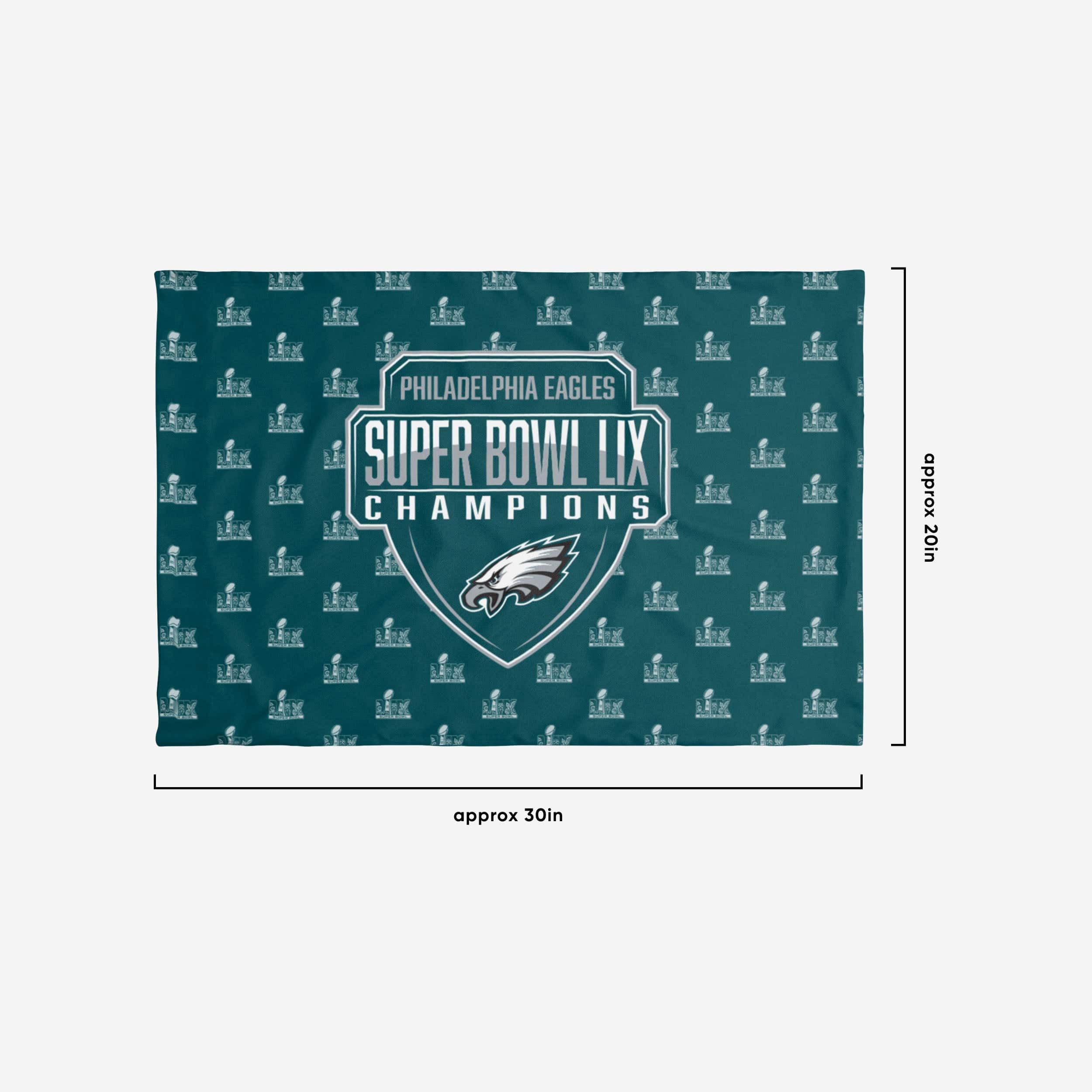 Philadelphia Eagles Super Bowl LIX Champions 2 Pack Twin Pillowcase - Image 2