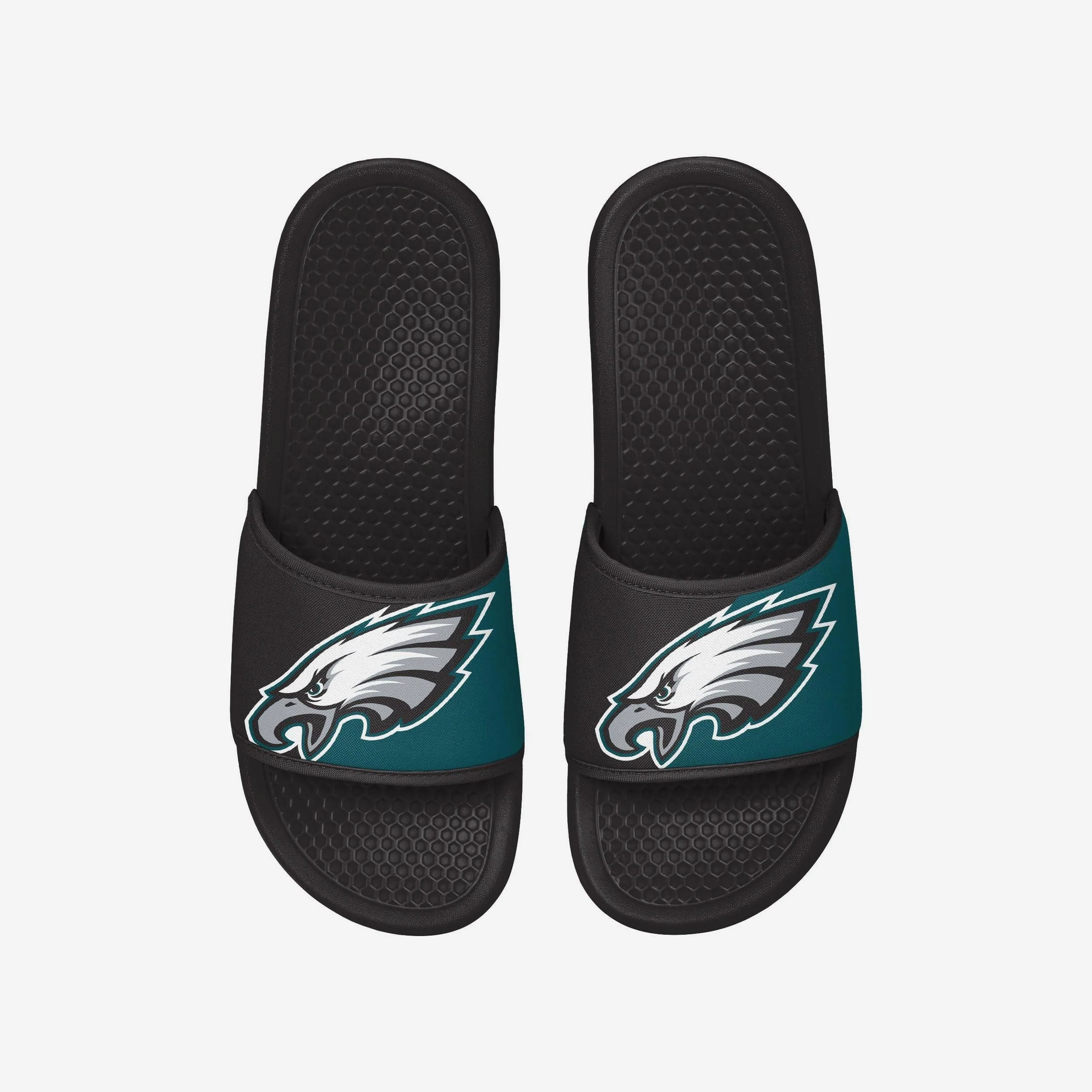 Philadelphia Eagles Team Color Primary Logo Slide