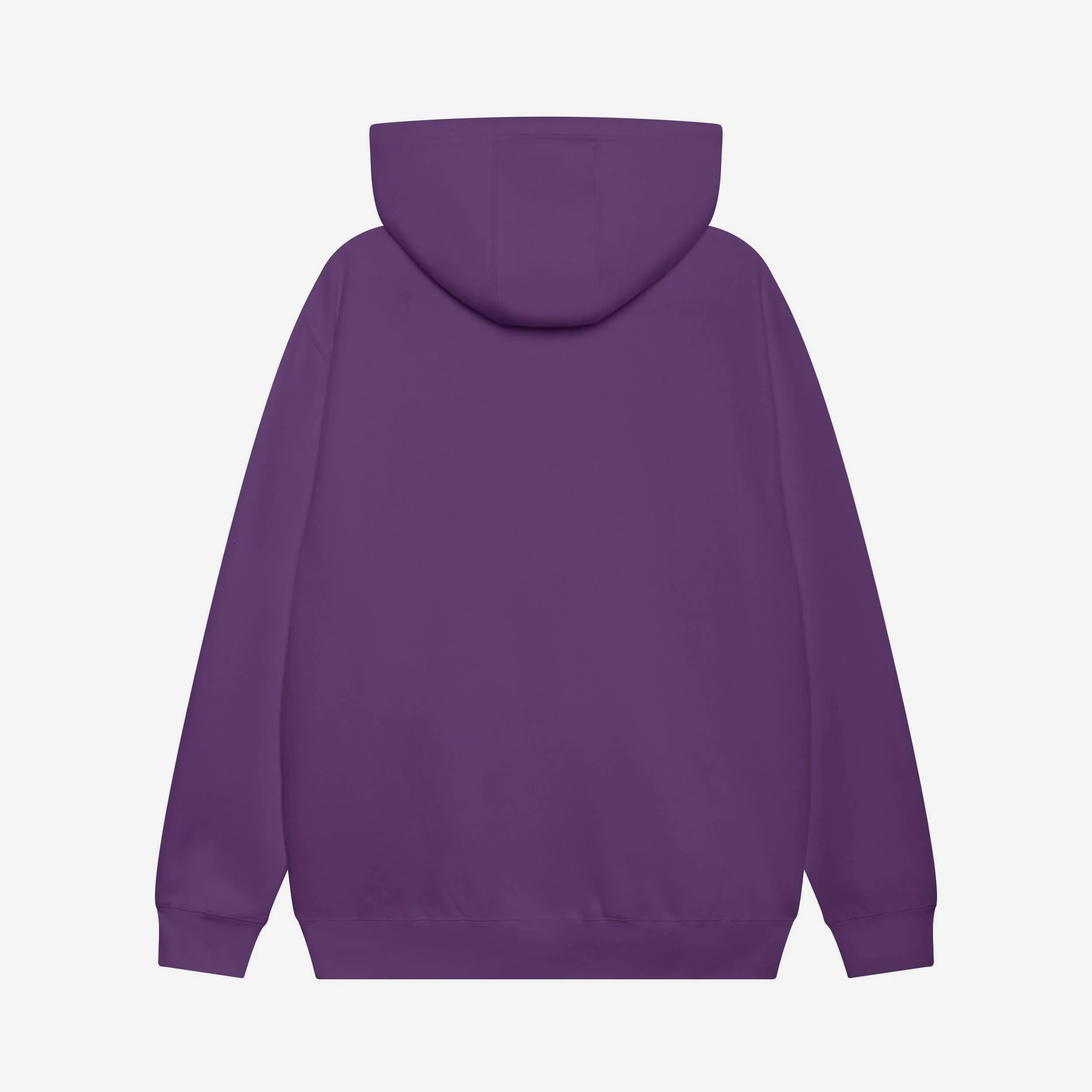 Sacramento Kings Primary Logo Hoodie - Image 2